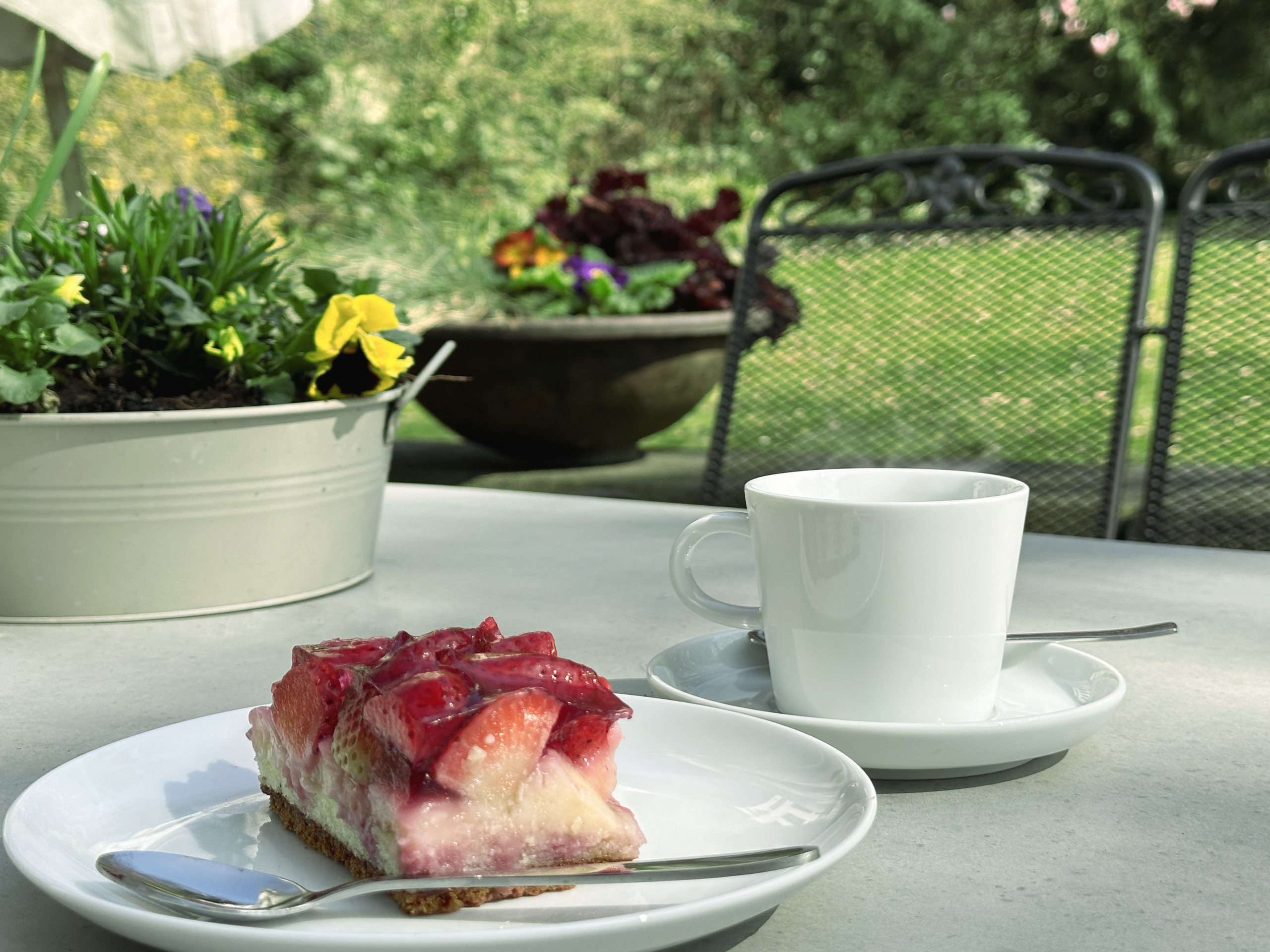 Du betrachtest gerade Das abwechslungsreiche Nachmittags-Café für ältere Menschen