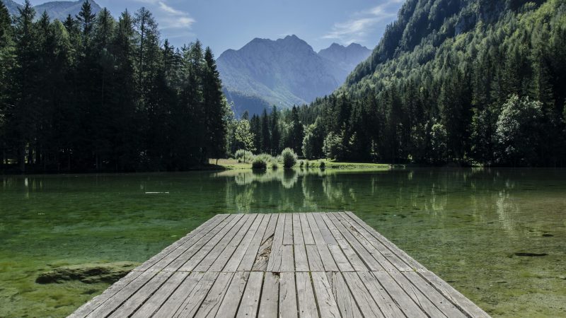 Häusliche Schulungen für pflegende Angehörige